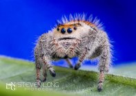 6-1-2015--5484-Edit-2