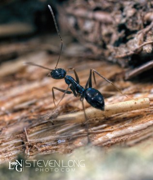 untitled-8404-Edit-Edit