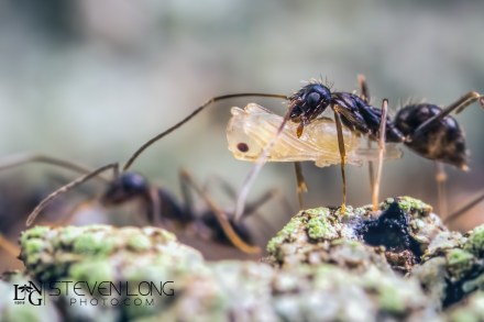 untitled-9716-Edit-Edit-2