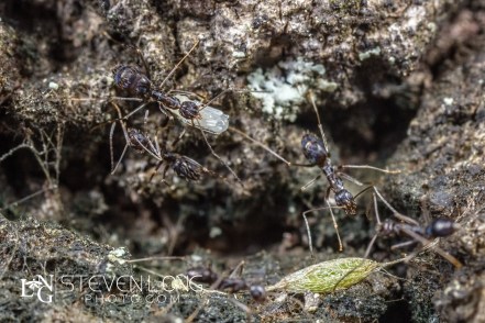 untitled-9869-Edit-Edit-2