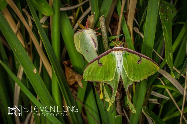 2016-03-19-18.49.15 ZS retouched 3