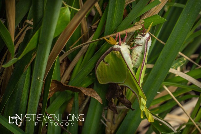 untitled-201603199009-2