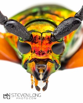 untitled-201606174902-2