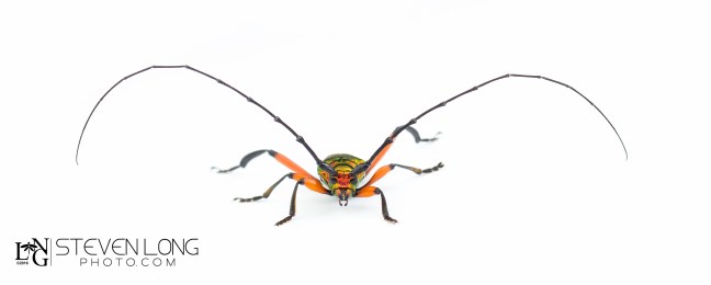 untitled-201606174922-edit