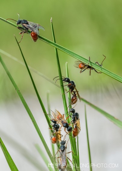 untitled-201705263681-Edit-Edit