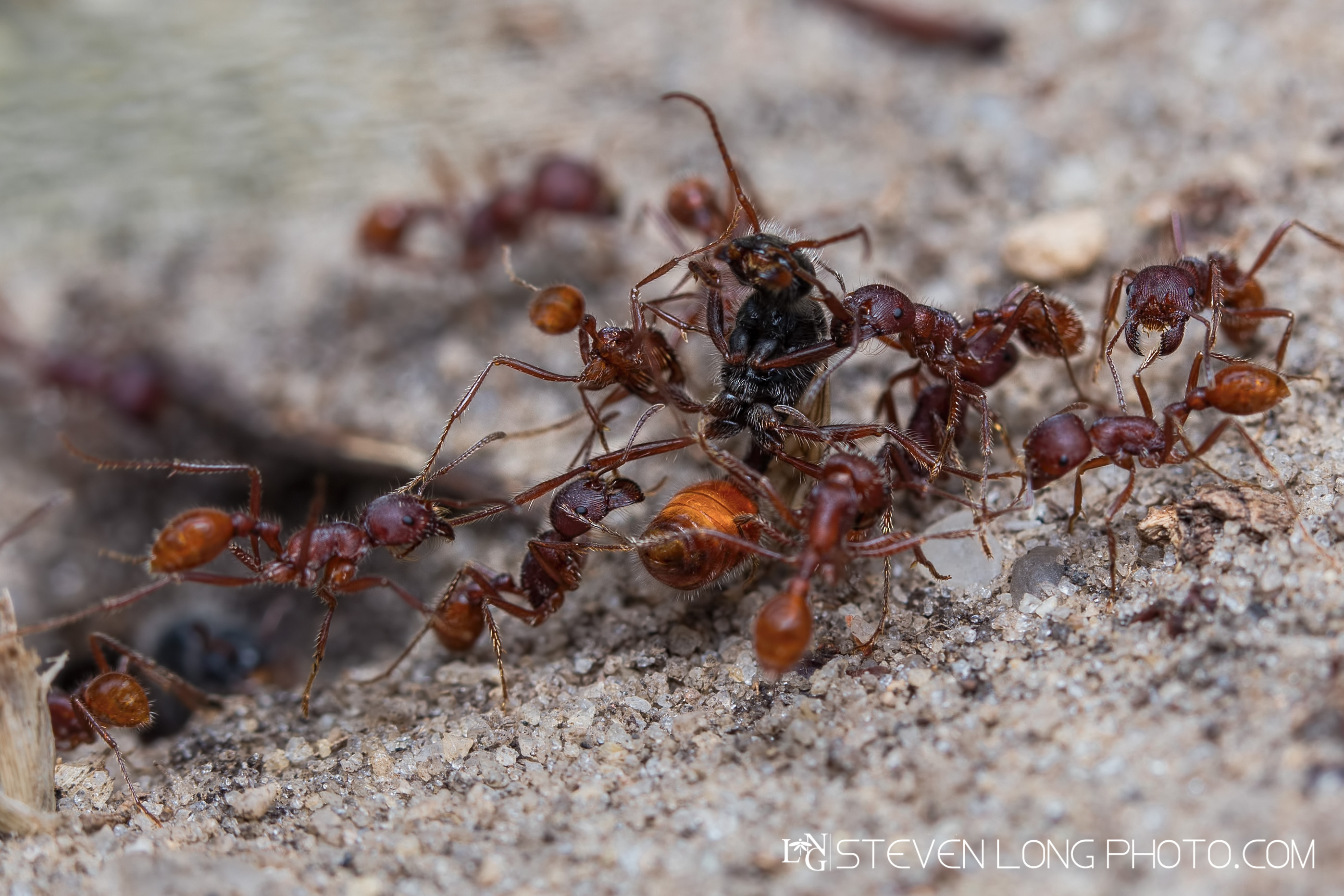 untitled-201706083846-Edit-Edit