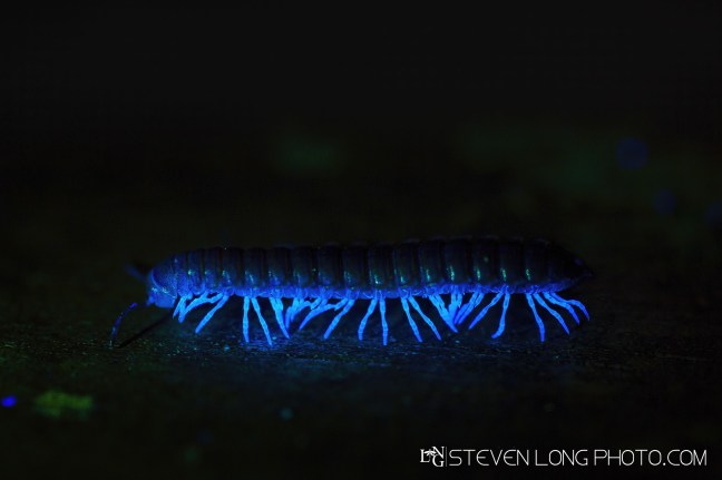 untitled-201702120847-Edit-Edit